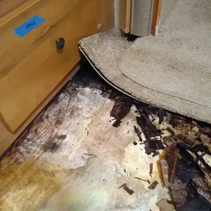 Wood Floor Water Damage in WaKeeney, KS